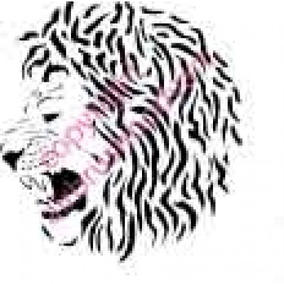 0212 lion head re-usable stencil
